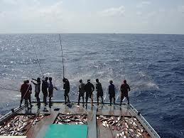 Fishing - imagehs.jpeg